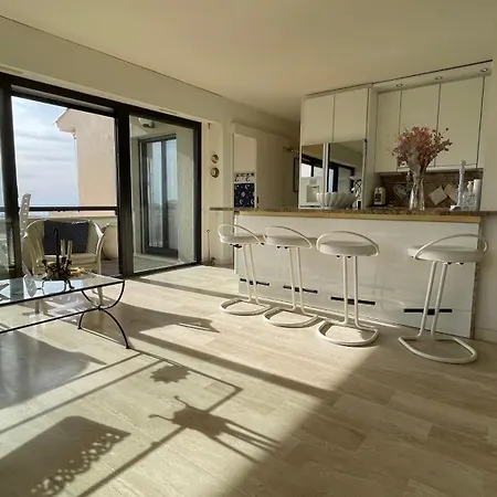 Luxurious Two-bedroom Cannes